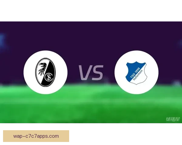 霍芬海姆三球大胜弗赖堡 德雷卡巴克建功